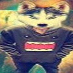 Gian Franco Loayza Marin