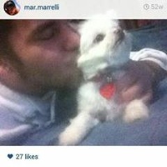 Mario Marrelli