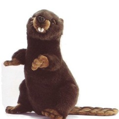 Oliver A - Cocconote