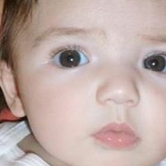 Richard Logan Webber