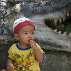 truong vu