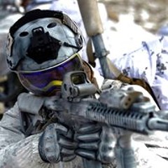 Madison Pareño Labrador