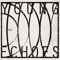Young Echoes