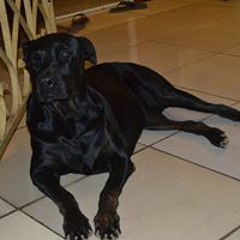 Gordon David Gregory