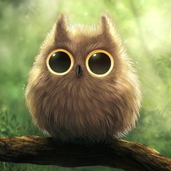 オオフクロウ