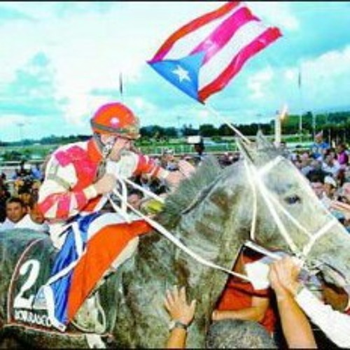 Figue y mambo a Hipismo