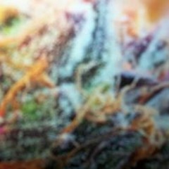 robbie420motherfucker