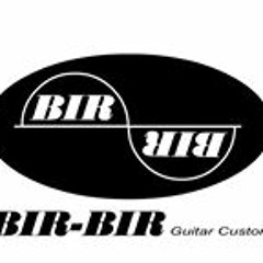 Birbir Custom