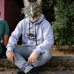 SevenWolfs