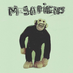 M-Sapiens