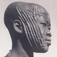 The Science Of Colors