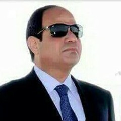 user292662761
