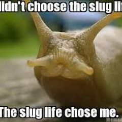 DJ Brotherslug