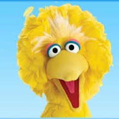 Bigbird!