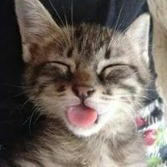 Taiji Takizawa Matsumoto