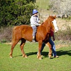 Nicolás Torres Zagal