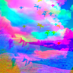 Anima Nia