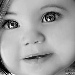 hoda hamdy