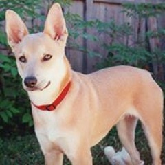 Beth Anderson Moorehead