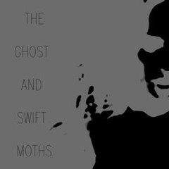 The Ghost & Swift Moths