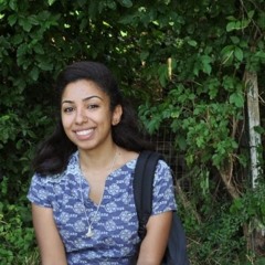 راضيو كفر الشيخ الحبيبة