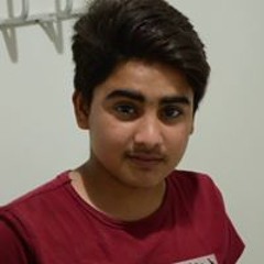 Raja Muneeb Hameed