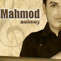 Mahmoud Selmey