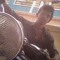 Srikanth Mudhirajj