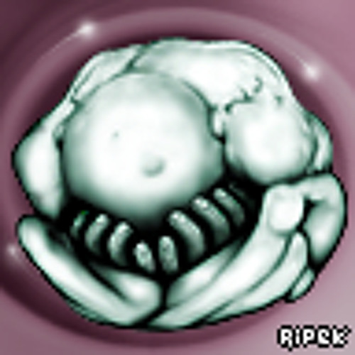 Ripek’s avatar