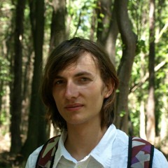 Alexandru Pop Artist