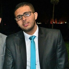 Amir-Mohamed El Mowafy