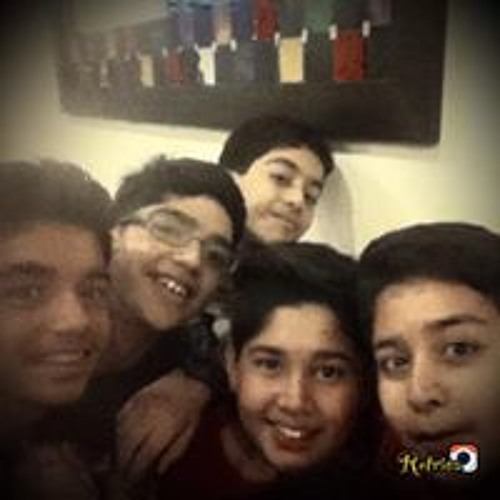 Mohids work.