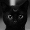heroescat_