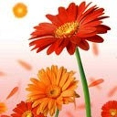 anurag jaiswal