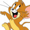 sang swm