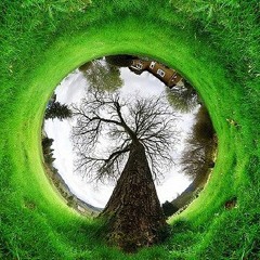 Gonzalo Cardozo - 30-Julio-2010