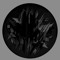 X1Dubplate
