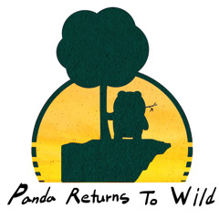 Panda Returns to Wild