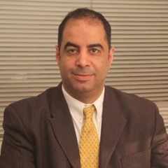 Walid El Sokkary