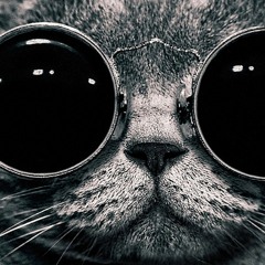 Purring Beats