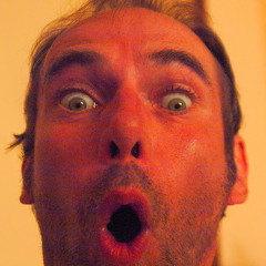 thierry wenes