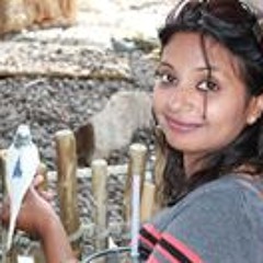 Anchal Phillip