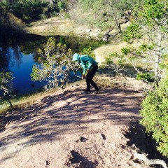 Memo Tropicalmachine