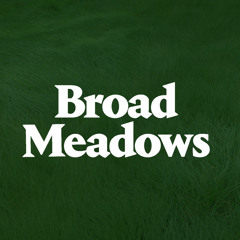 Broad Meadows