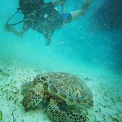 explosions in the sky