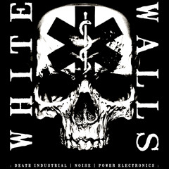 White Walls (Noise / Pe)