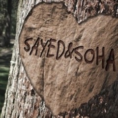 sayed mesallamy