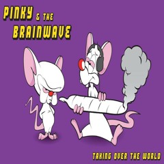 pinky & the brainwave