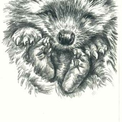 Anika Fuhrgeradeausmann