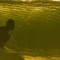 Surfnbossa